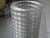 Import Galvanized Welded Wire Mesh from China