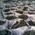 Import Quality Charcoal For Sale from Nigeria