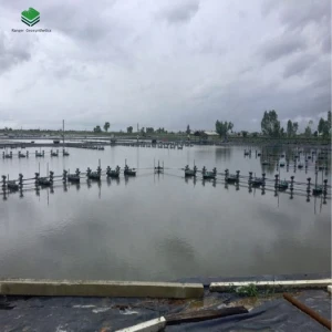 0.2-3mm hdpe/ldpe geomembrane price for aquaculture pond liners pond fish equipment in Philippines