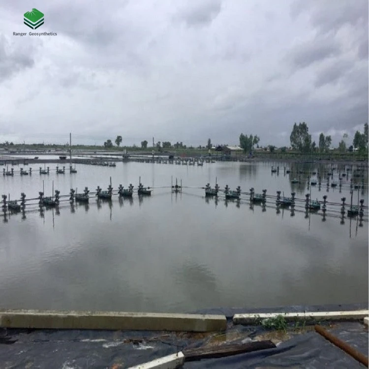 0.2-3mm hdpe/ldpe geomembrane price for aquaculture pond liners pond fish equipment in Philippines