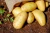 Import New crop farm fresh yellow potatoes/fresh russet potato from South Africa