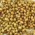 Import New Crop Good Quality Coriander Seeds from South Africa