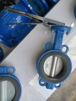 OEM DN25-DN2200 Cast Iron Butterfly Valve