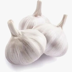 Fresh Garlic Exporter – Superior Quality at Competitive Prices