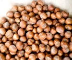 High Quality Organic Raw Sun Dried Hazelnuts Grade a Bulk Packaging Wholesale