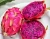 Import Dragon Fruit from Indonesia