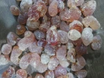 gum Arabic