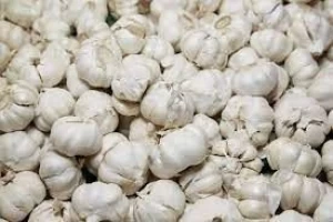 Quality Fresh Garlic, Normal White & Pure White