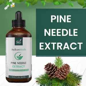 Pine Needles Herbal Tincture Extract Drops Bulk (Pinus Sylvestris)