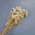 Import Wholesale Preserved Dried foliages Grass Eternal Lasting flower bouquet home decoration rice flowers from China