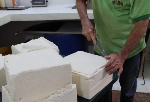 Pasteurized Cow Milk Fresh Cheese For Sale