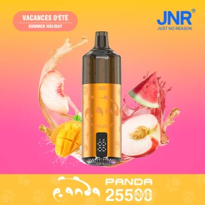 Bulk JNR Panda 25500 Summer Holiday Vape | In Stock Shenzhen China | Reliable Worldwide Logistics Quick Delivery Ireland