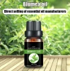Body plant essential oil  wormwood oil massage oil