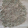 Arabica Coffee Beans Handpicked | Premium Wholesale 100% Arabica