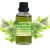 Import Body plant essential oil  wormwood oil massage oil from China