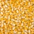 Import quality yellow corn from South Africa