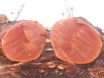 Azobe Timber Wood Logs