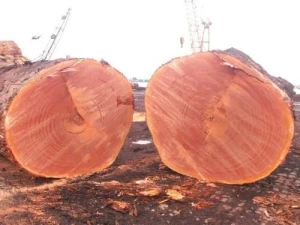 Azobe Timber Wood Logs