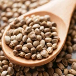 Supply High Quality Hemp Seed Free Sample Hemp Seed Best Price for Sale