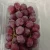 Import Fresh Grapes from Ecuador from Ecuador