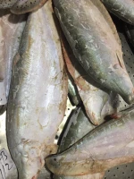 Fish Sea Food