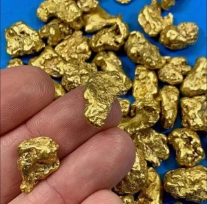 gold/gold nugget/raw gold
