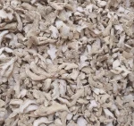 Dry Ginger