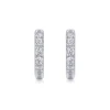 0.6CT Moissanite Hoop Earrings for Women, 925 Sterling Silver 18K White Gold Bracelet, D Color VVS1 Diamond Studs