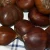 Import Blanched / Roasted Hazelnuts / Toasted / Hazelnut kernels Inshell / Organic Hazel Nuts from Germany