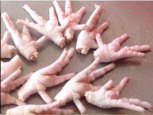 Frozen Chicken Paw