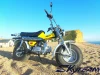 SKYTEAM 125cc E5 4 stroke T-REX RV90 vanvan beach motorcycle dirt bike (EEC EURO3 EURO4 approval)