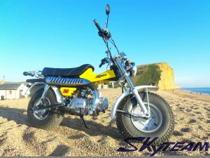 SKYTEAM 125cc E5 4 stroke T-REX RV90 vanvan beach motorcycle dirt bike (EEC EURO3 EURO4 approval)