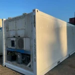 20ft 40ft Container Cold Room Solution 10Tons Cold Storage Container Conteneur Frigorifique De 20 Pieds Freezer Room