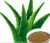 Import Aloe Vera from China