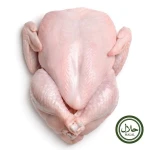 Whole Chicken Meat | HALAL
