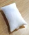 Import Shree Shakambhari Premium Conjugated Fiber Pillows from India
