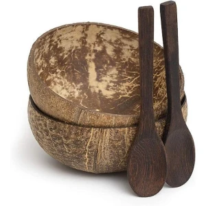 Eco Friendly Coconut Shell Bowl For Decoration And Eating