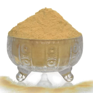 High Quality GMP Kosher Natural Instant Soy Milk Powder