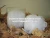 Import Bath Mesh Sponge Puff Wholesale BOX Wrapped from China