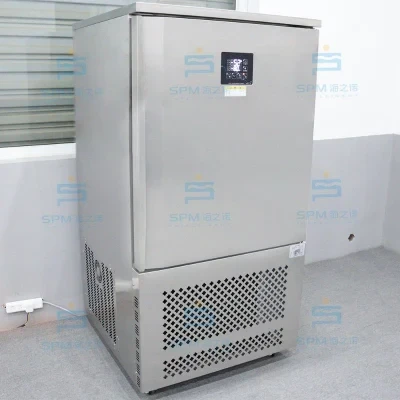 Buy 10 Trays Ice Cream Shock Freezing Blast Freezer With Plate from Spm