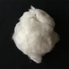 100% dehaired sheep wool fiber