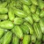 Import 100% Export Quality Oriented Pointed Gourd Vegetables for Wholesale from Bangladesh
