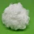 Import 100% pla fiber, 3-12D*32-102MM pla fiber for pillow and bedding from China