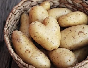 100% Quality Fresh Potatoes, Sweet Potato In Austria