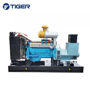 200kw 250kva hot sale high quality free magnet generator electricity