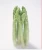 Import 2018 new crop IQF green asparagus from China