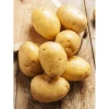 2020 Exporters Certified China Fresh Potatoes