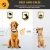 Import 2020 New Petrainer PET856 Waterproof Anti Barking Device Dog Training Collar with Shock/ Vibration/ Sound from China