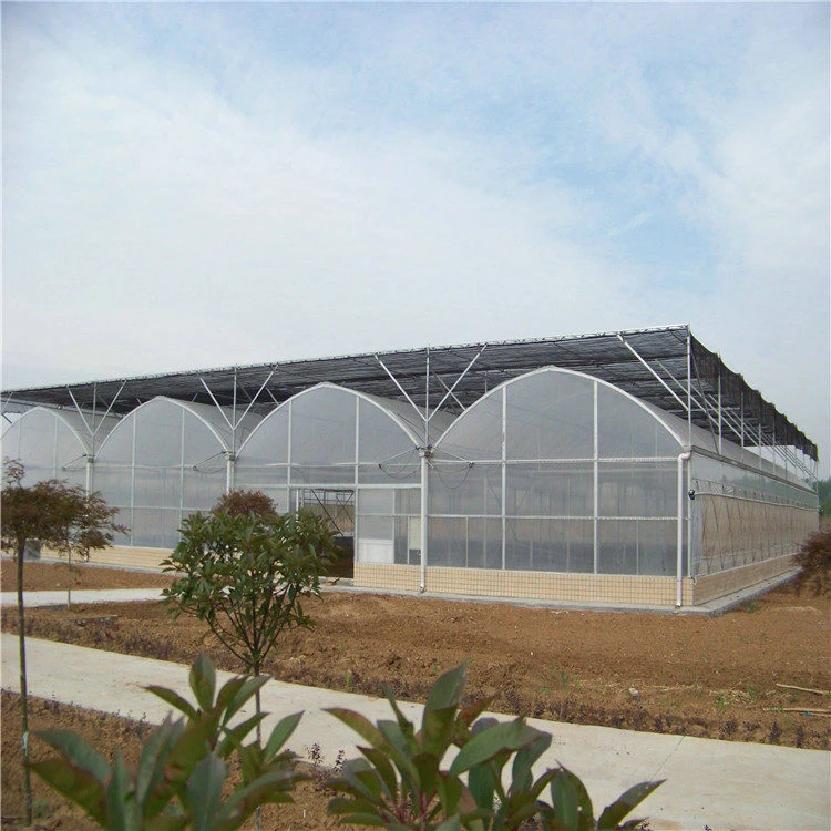 2021 China new type polytunnel greenhouse cheap price multispan green house