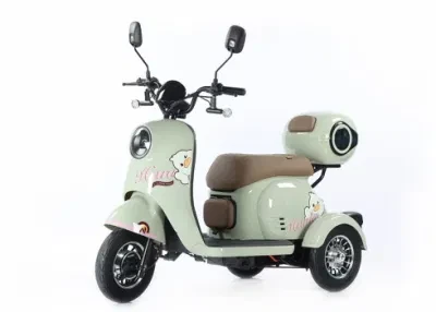 2024 New Cheap Battery Powered Tricycle Electric Tricycle for Sale